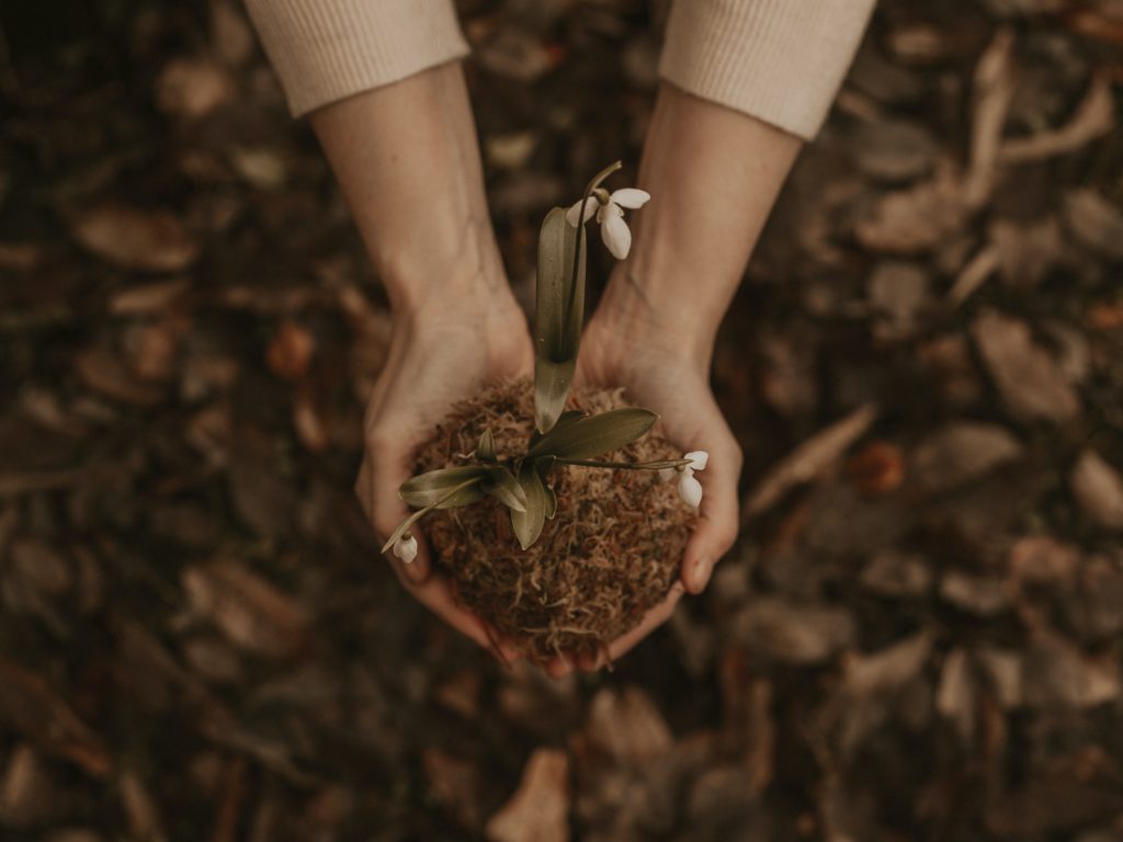 Hands holding earth