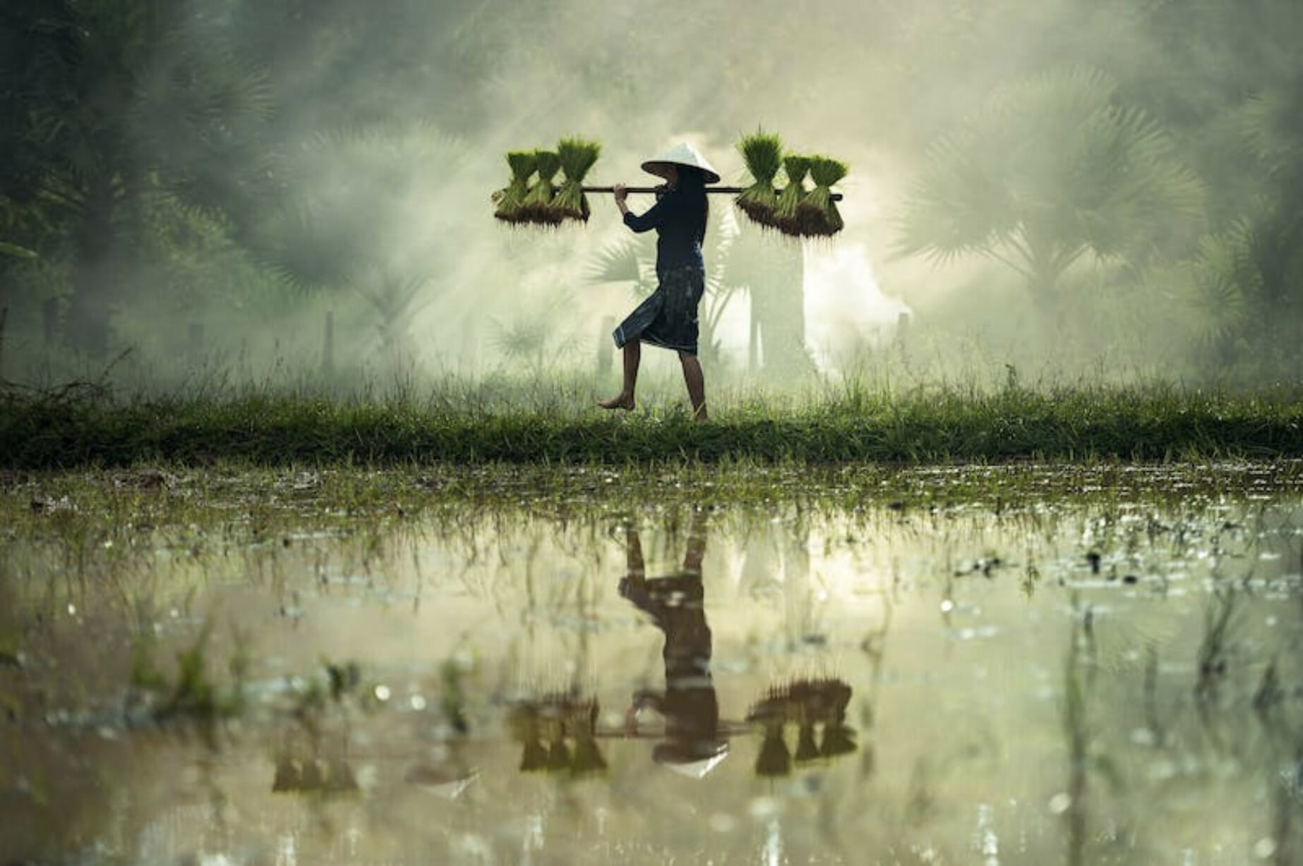 woman carrying harvest