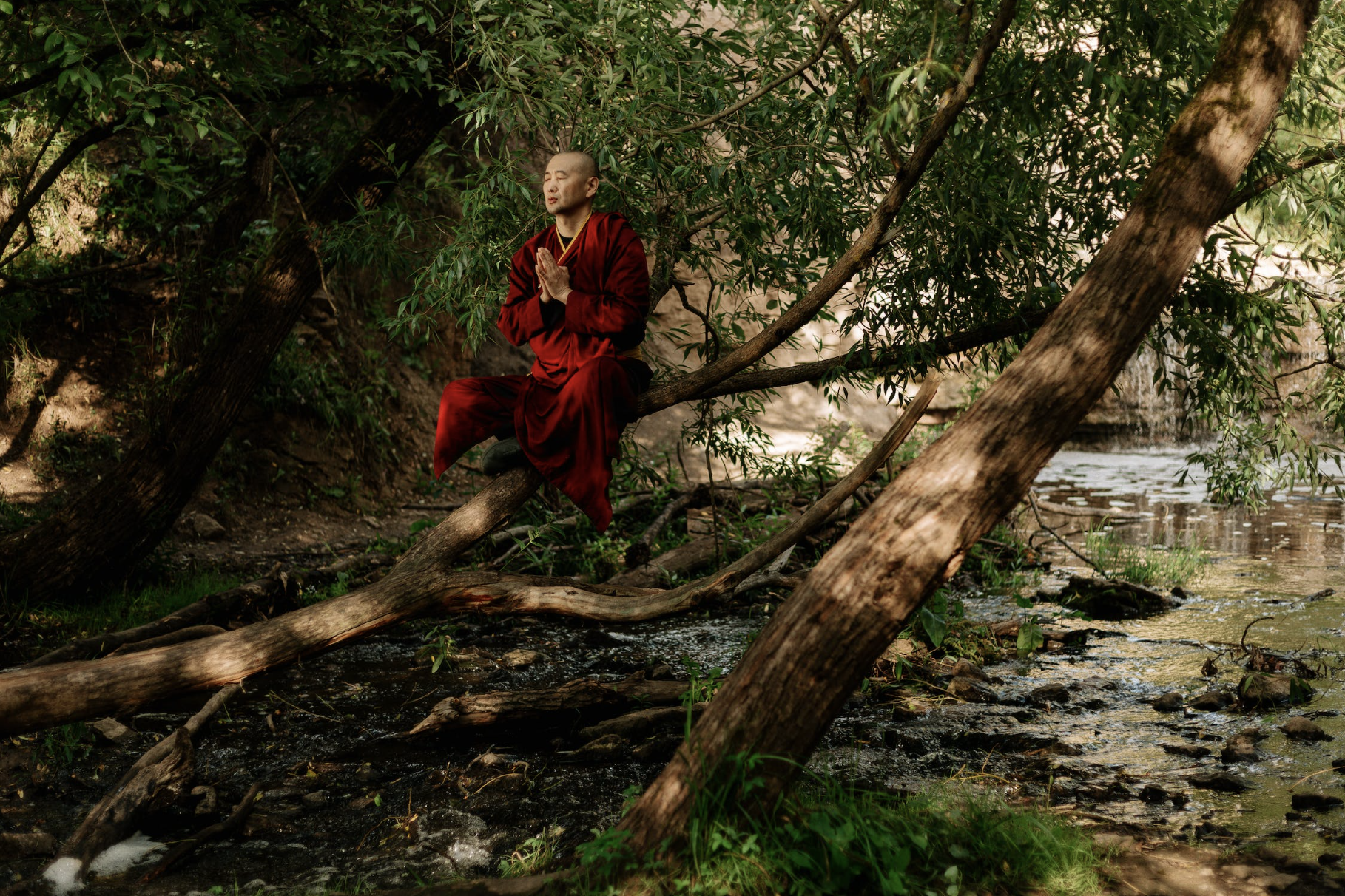 buddhist monk meditating on a tree branch