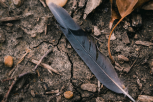 black feather meaning